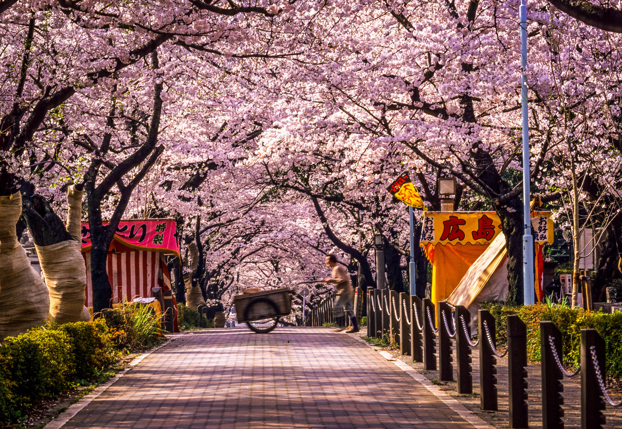 Relaxing places in Tokyo