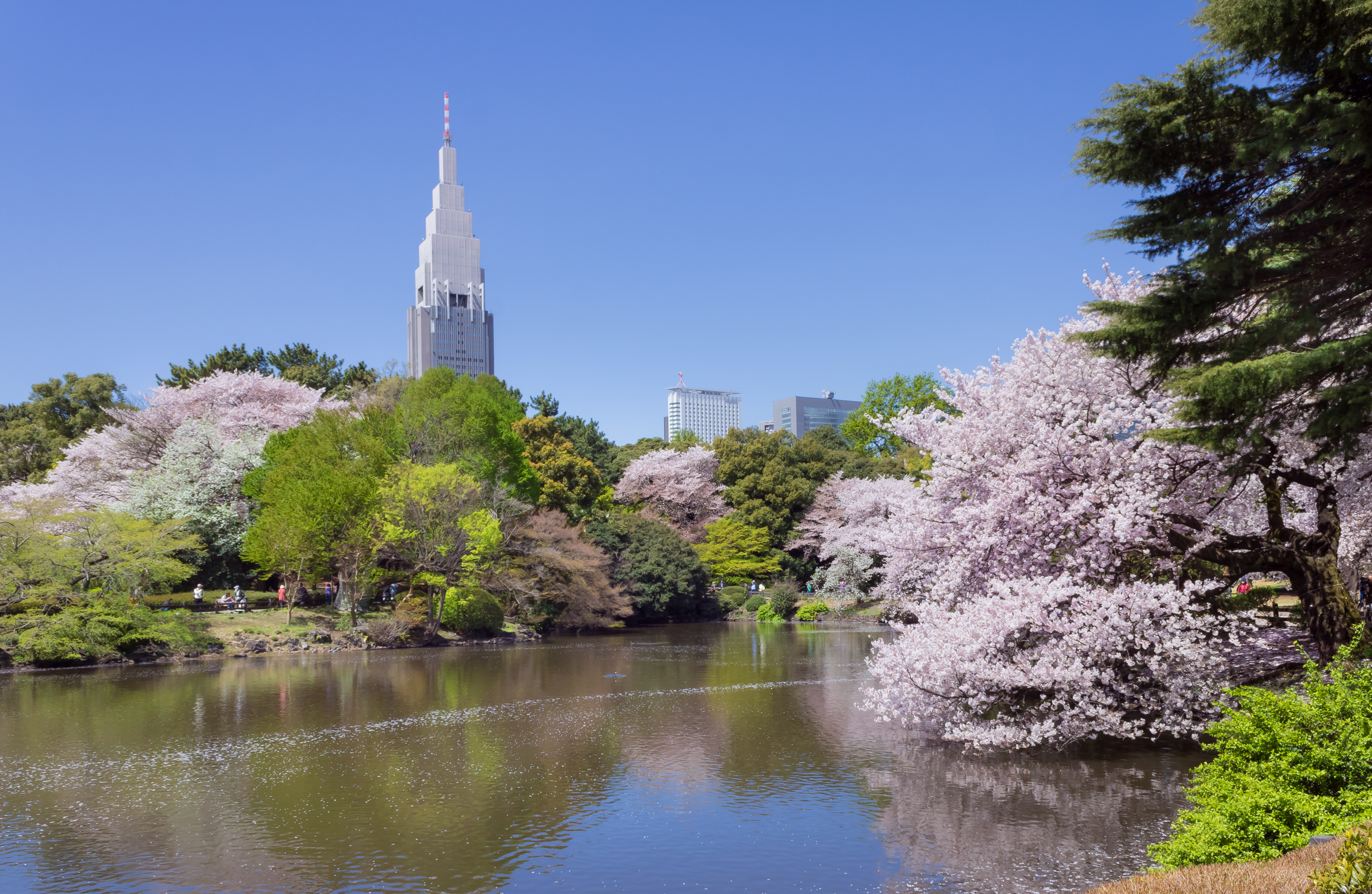 Shinjuku Gyoen National Garden in Tokyo